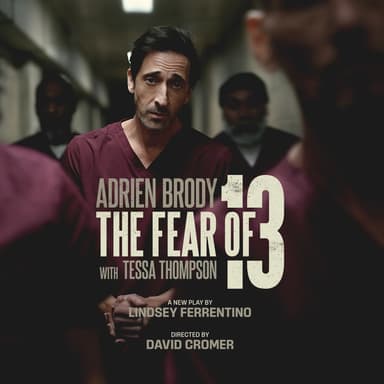 Poster of The Fear of 13 in New York.