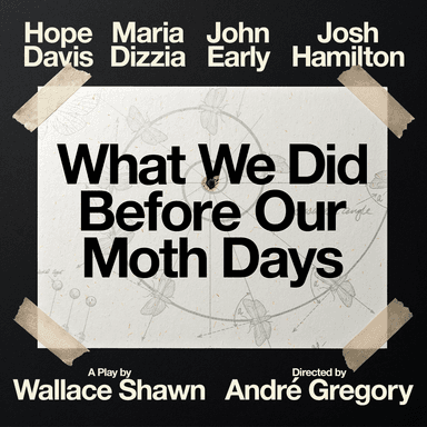 Poster of What We Did Before Our Moth Days in New York.